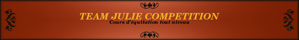 TEAM JULIE COMPETITION